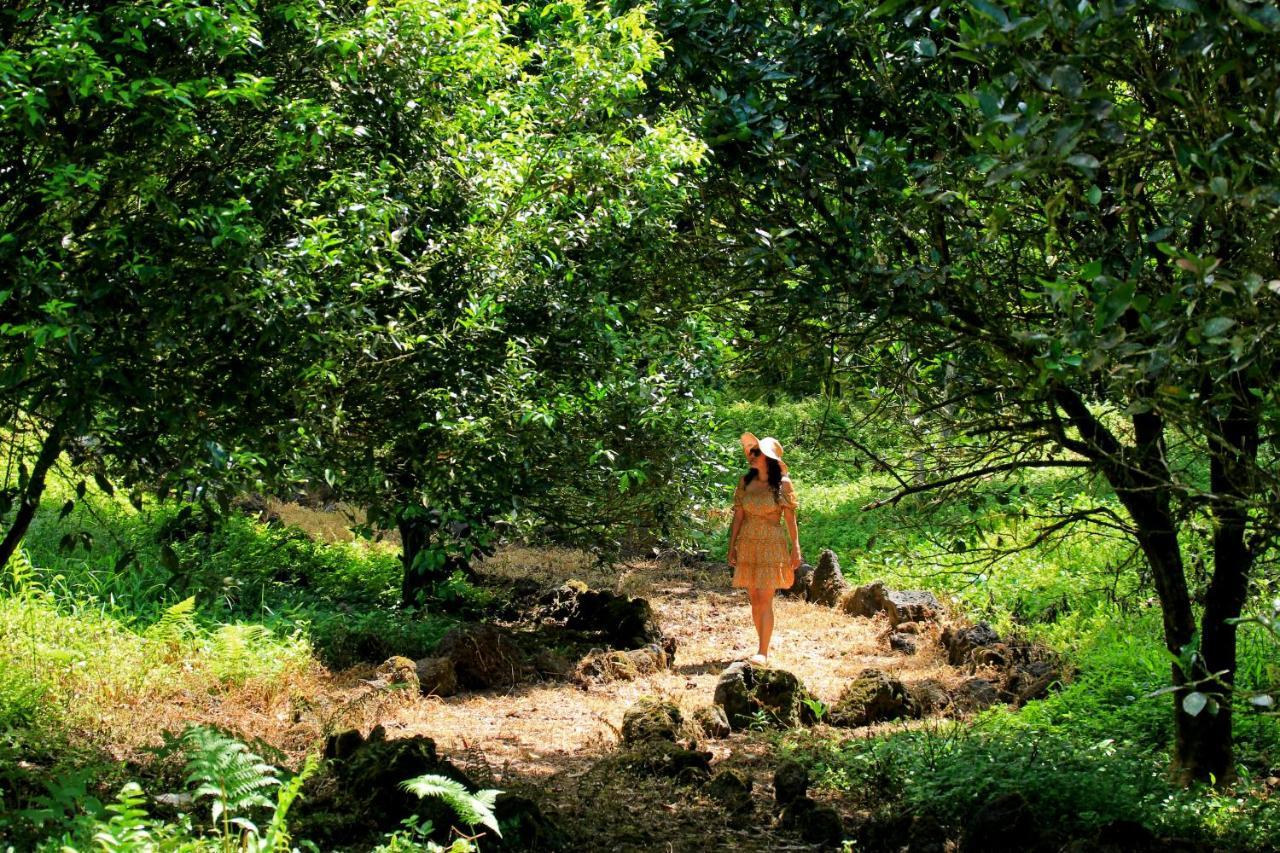 Natura Gardens Galapagos Беллависта Экстерьер фото